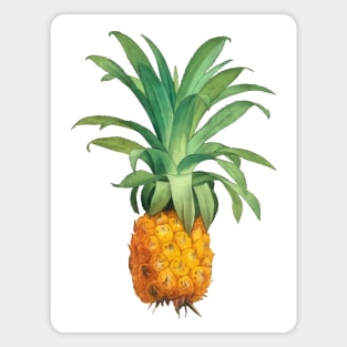 Pineapple Magnet